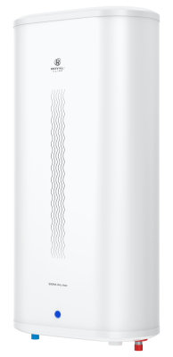 Электрический водонагреватель серии SIGMA Dry Inox RWH-SGD100-FS